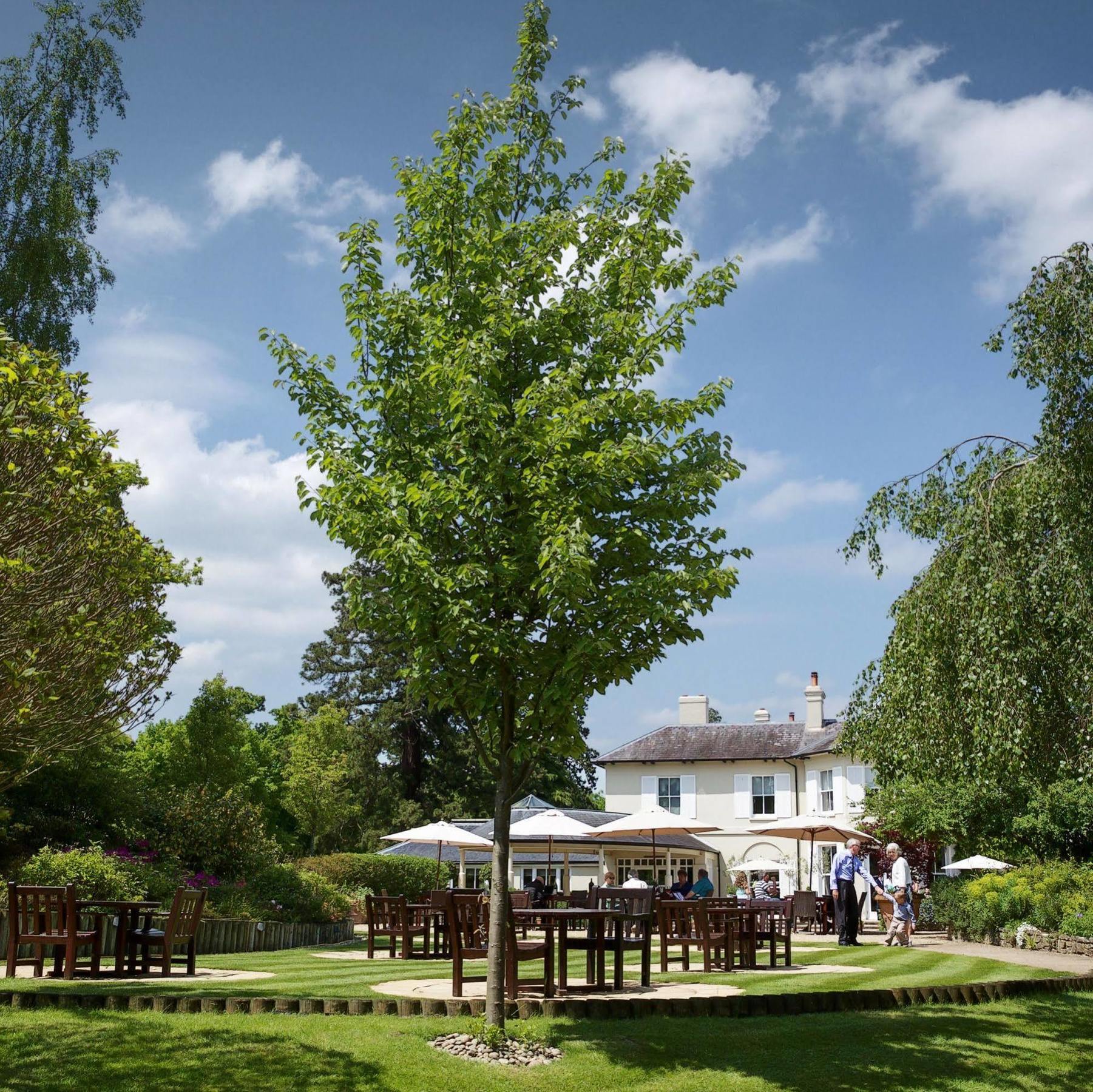The Vineyard Hotel & Spa Newbury  Eksteriør billede